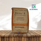 Polyanionic Cellulose Polymer - Kimia Industri 1