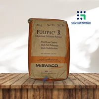 Polyanionic Cellulose Polymer - Kimia Industri
